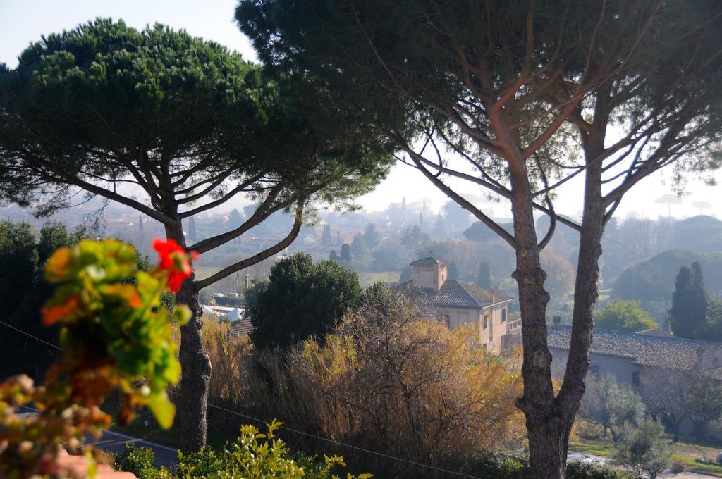 Apartment Sabatinus Trevignano Romano